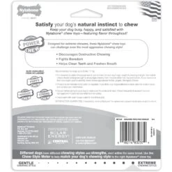 Nylabone Power Chew Variety Triple Pack Chicken, Bacon & Peanut Butter -Pet Dog Toys 80696 PT6. AC SS1800 V1689706200