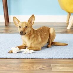 Mammoth 100% Cotton Dog Rope Toy -Pet Dog Toys 80733 PT2. AC SS1800 V1633021596