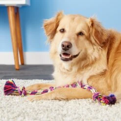 Mammoth Monkey Fist Bar Dog Toy, Color Varies -Pet Dog Toys 80755 PT3. AC SS1800 V1531516924