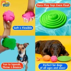 Hartz Dura Play Bone Squeaky Latex Dog Toy -Pet Dog Toys 82721 PT5. AC SS1800 V1660706815