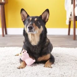 Hartz Bug Eyes Squeak Latex Dog Toy, Character Varies -Pet Dog Toys 82848 PT4. AC SS1800 V1589228913