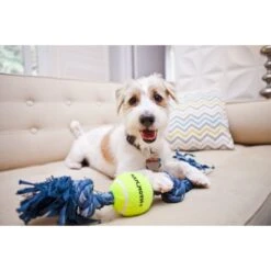Mammoth Denim 3 Knot Rope Tug With Tennis Ball Dog Toy -Pet Dog Toys 83207 PT2. AC SS1800 V1633022531