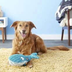 KONG CuteSeas Whale Dog Toy -Pet Dog Toys 83369 PT2. AC SS1800 V1605316617
