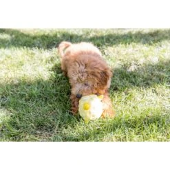 Playology Puppy Sensory Ball Beef Dog Toy -Pet Dog Toys 838934 PT3. AC SS1800 V1683745401