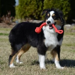 Playology Puppy Tough Tug Knot Beef Dog Toy, Red, Large -Pet Dog Toys 839046 PT3. AC SS1800 V1683740497