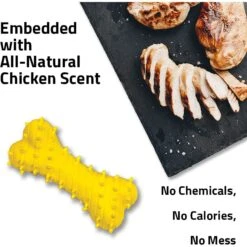 Playology Puppy Teething Bone Chicken Dog Toy, Yellow, Large -Pet Dog Toys 839126 PT2. AC SS1800 V1683740529