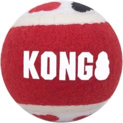 KONG Signature Balls Dog Toy, 4 Count