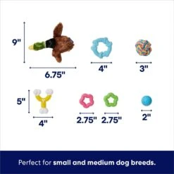 Frisco Forest Friends Plush, Rope & TPR Variety Pack Dog Toy 9 Frisco Forest Friends Plush, Rope & TPR Variety Pack Dog Toy -Pet Dog Toys 843534 PT2. AC SS1800 V1693411070