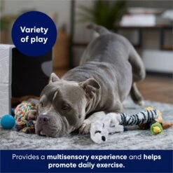 Frisco Forest Friends Plush, Rope & TPR Variety Pack Dog Toy 10 Frisco Forest Friends Plush, Rope & TPR Variety Pack Dog Toy -Pet Dog Toys 843534 PT3. AC SS1800 V1693411070