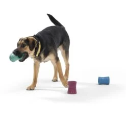 West Paw Funnl Dog Toy, Large, 4.25-in -Pet Dog Toys 847974 PT6. AC SS1800 V1683905951