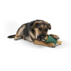 West Paw Funnl Dog Toy, Large, 4.25-in -Pet Dog Toys 847974 PT7. AC SS1800 V1683904309