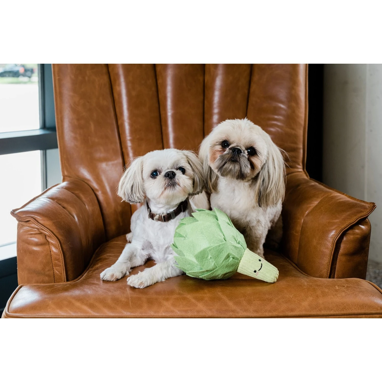 Injoya Artichoke Cat & Dog Snuffle Toy, Green, Small 5 Injoya Artichoke Cat & Dog Snuffle Toy, Green, Small - Image 3