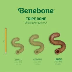 Benebone Tripe Bone Tough Dog Chew Toy, Brown -Pet Dog Toys 851070 PT5. AC SS1800 V1684348303