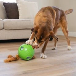 Nina Ottosson By Outward Hound Snuffle N' Treat Interactive Puzzle Ball & Treat Dispenser Dog Toy, Green -Pet Dog Toys 855590 PT4. AC SS1800 V1694286045