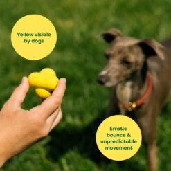 Earth Rated Rubber Fetch Chew Dog Toy -Pet Dog Toys 856150 PT3. AC SS1800 V1701935737