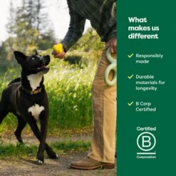 Earth Rated Rubber Fetch Chew Dog Toy -Pet Dog Toys 856150 PT6. AC SS1800 V1701983280