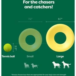 Earth Rated Flyer Dog Toy 13 Earth Rated Flyer Dog Toy -Pet Dog Toys 856190 PT2. AC SS1800 V1701983280