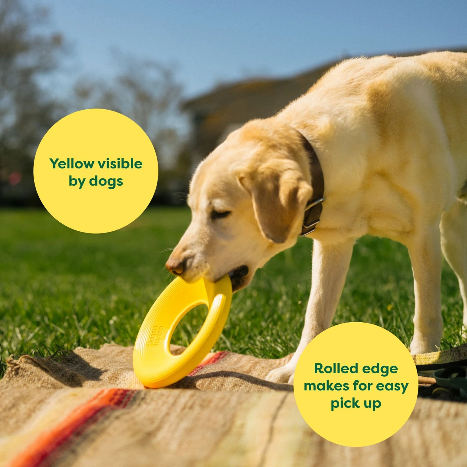Earth Rated Flyer Dog Toy 6 Earth Rated Flyer Dog Toy - Image 4