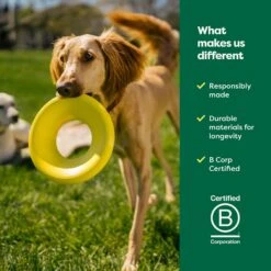 Earth Rated Flyer Dog Toy 17 Earth Rated Flyer Dog Toy -Pet Dog Toys 856190 PT6. AC SS1800 V1701983219