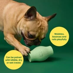 Earth Rated Treat Dispenser Dog Toy 14 Earth Rated Treat Dispenser Dog Toy -Pet Dog Toys 856254 PT3. AC SS1800 V1701932868
