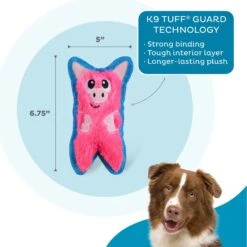 Outward Hound Invincibles Minis Squeaky Stuffing-Free Plush Dog Toy -Pet Dog Toys 85905 PT2. AC SS1800 V1636512377
