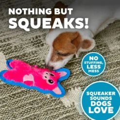 Outward Hound Invincibles Minis Squeaky Stuffing-Free Plush Dog Toy -Pet Dog Toys 85905 PT3. AC SS1800 V1636517562