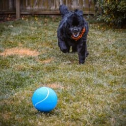 Pet Fit For Life Giant Tennis Ball Dog Toy, Yellow -Pet Dog Toys 872422 PT4. AC SS1800 V1686247988
