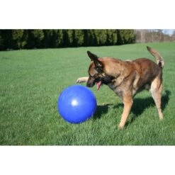 Jolly Pets 14" Push-n-Play Dog Toy -Pet Dog Toys 88439 PT1. AC SS1800 V1629249127