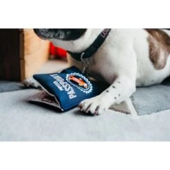 P.L.A.Y. Pet Lifestyle And You Globetrotter Set Plush Squeaky Dog Toy, 5 Count -Pet Dog Toys 895710 PT7. AC SS1800 V1695416397