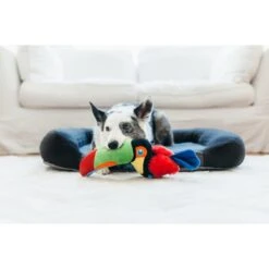 P.L.A.Y. Pet Lifestyle And You Fetching Flock Collection Tito The Toucan Plush Squeaky Dog Toy -Pet Dog Toys 895822 PT3. AC SS1800 V1689966510