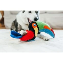 P.L.A.Y. Pet Lifestyle And You Fetching Flock Collection Tito The Toucan Plush Squeaky Dog Toy -Pet Dog Toys 895822 PT4. AC SS1800 V1689793858