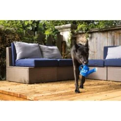 P.L.A.Y. Pet Lifestyle And You Blooming Buddies Collection Wagging Watering Can Plush Squeaky Dog Toy -Pet Dog Toys 896622 PT5. AC SS1800 V1689795109