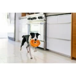 P.L.A.Y. Pet Lifestyle And You P.L.A.Y. X Earth Rated Montreal Bagel Plush Squeaky Dog Toy -Pet Dog Toys 896766 PT4. AC SS1800 V1689795003