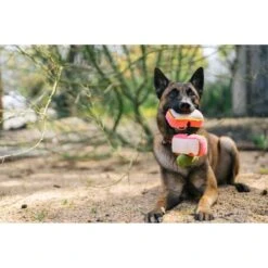 P.L.A.Y. Pet Lifestyle And You P.L.A.Y. X Earth Rated Smoke Meat Sandwich Plush Squeaky Dog Toy -Pet Dog Toys 896798 PT5. AC SS1800 V1689961707