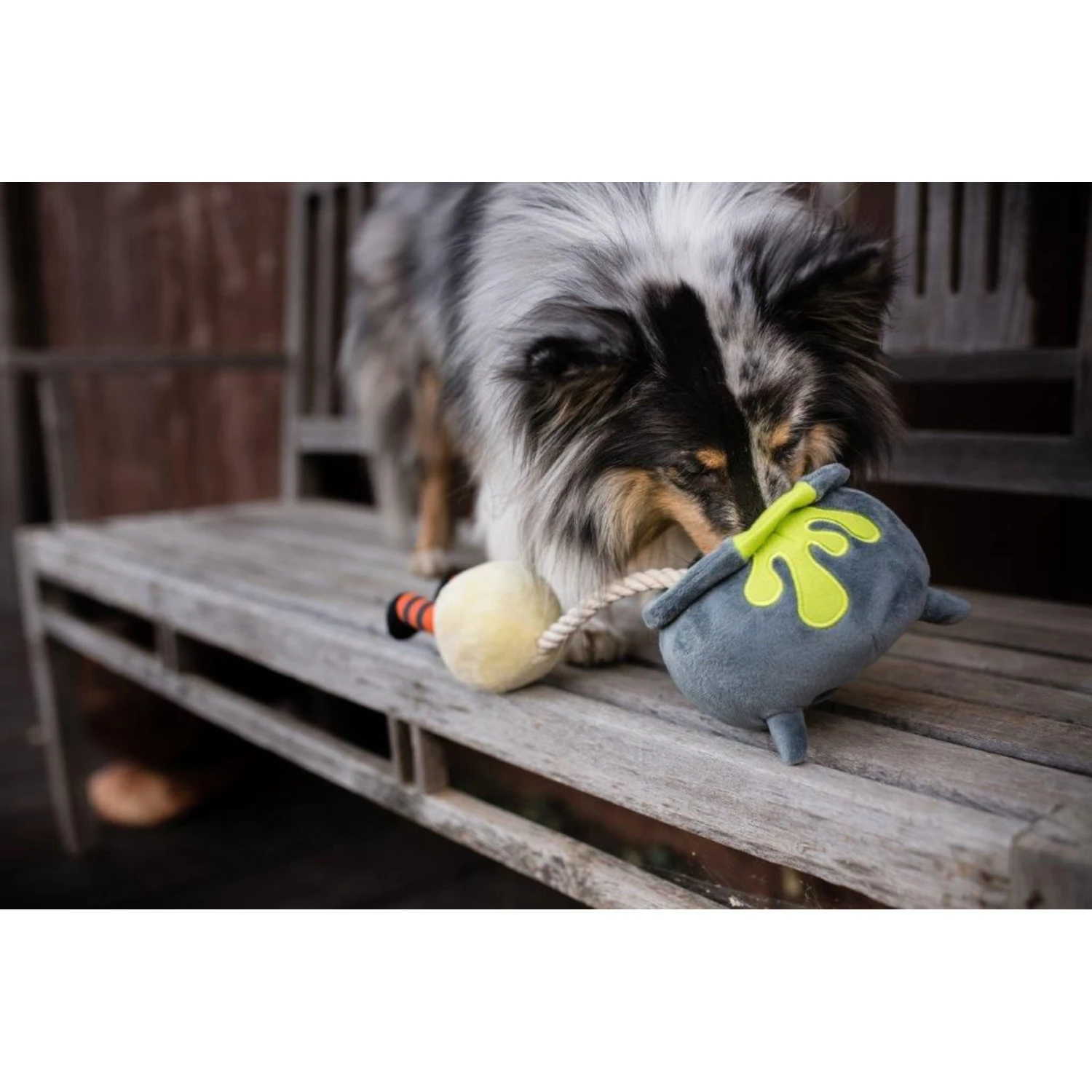 P.L.A.Y. Pet Lifestyle And You Howling Haunts Pupspotion Plush Squeaky Dog Toy 7 P.L.A.Y. Pet Lifestyle And You Howling Haunts Pupspotion Plush Squeaky Dog Toy - Image 5