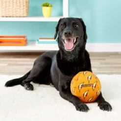 Mighty Squeaky Stuffing-Free Plush Ball Dog Toy 10 Mighty Squeaky Stuffing-Free Plush Ball Dog Toy -Pet Dog Toys 90111 PT3. AC SS1800 V1589560616