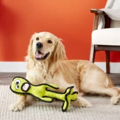 Tuffy's Alien G6 Plush Dog Toy -Pet Dog Toys 90115 PT3. AC SS1800 V1589560631