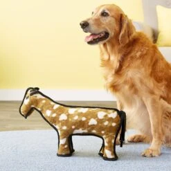 Tuffy's Barnyard Horse Plush Dog Toy -Pet Dog Toys 90120 PT3. AC SS1800 V1589560664