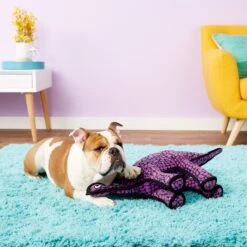 Tuffy's Dinosaur Stegosaurus Squeaky Plush Dog Toy -Pet Dog Toys 90127 PT4. AC SS1800 V1531549346