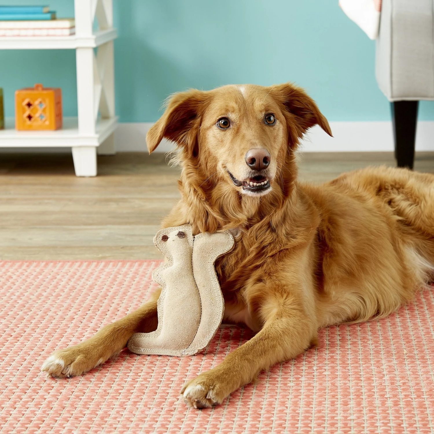 Ethical Pet Dura-Fused Leather Squirrel Dog Toy 6 Ethical Pet Dura-Fused Leather Squirrel Dog Toy - Image 4