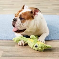 Ethical Pet Skinneeez Extreme Stuffer Frog Stuffing-Free Squeaky Plush Dog Toy 9 Ethical Pet Skinneeez Extreme Stuffer Frog Stuffing-Free Squeaky Plush Dog Toy -Pet Dog Toys 90288 PT7. AC SS1800 V1527093792