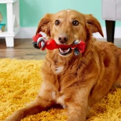 Ethical Pet Play Strong Bone & Rope Tough Dog Chew Toy 8 Ethical Pet Play Strong Bone & Rope Tough Dog Chew Toy -Pet Dog Toys 90318 PT7. AC SS1800 V1527094037