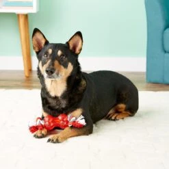 Ethical Pet Play Strong Bone & Rope Tough Dog Chew Toy 9 Ethical Pet Play Strong Bone & Rope Tough Dog Chew Toy -Pet Dog Toys 90318 PT8. AC SS1800 V1531549938