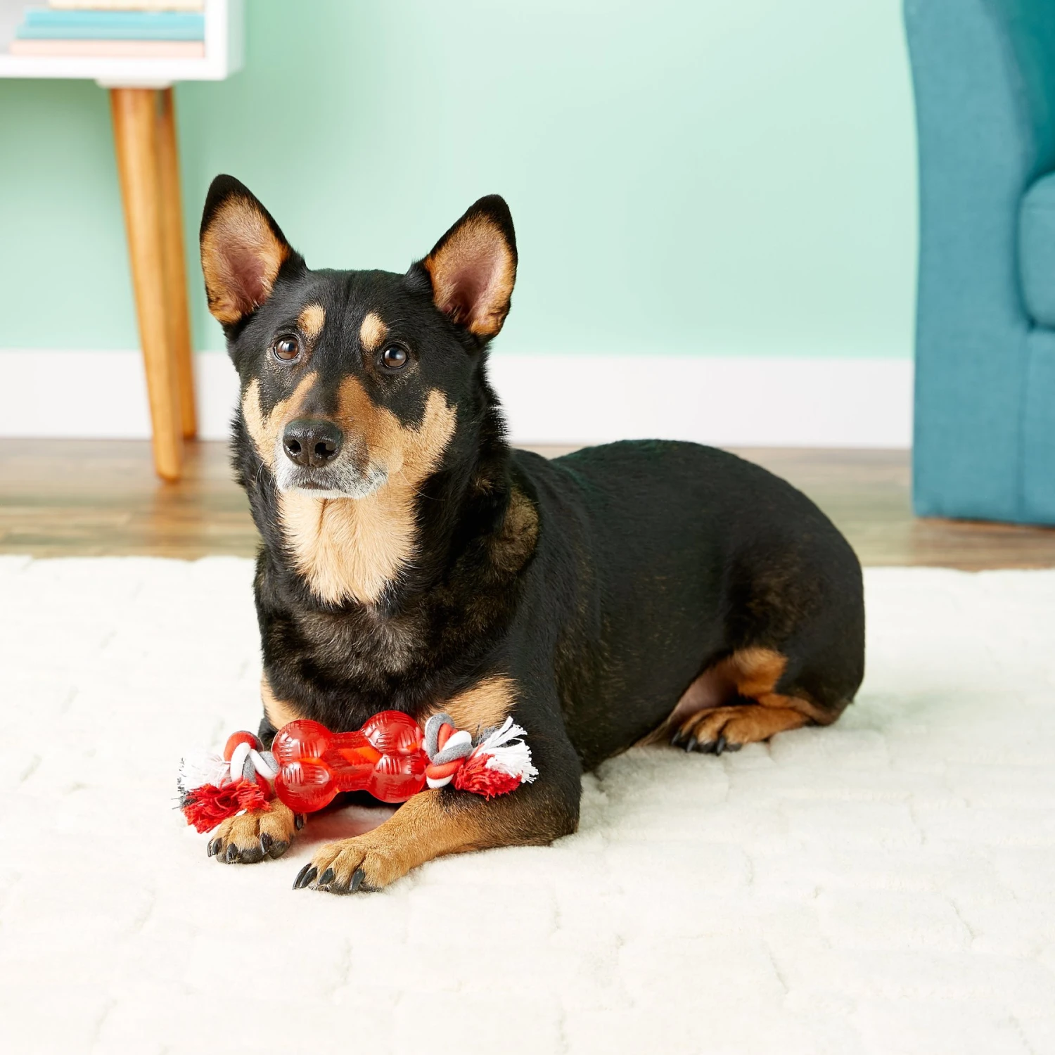 Ethical Pet Play Strong Bone & Rope Tough Dog Chew Toy 6 Ethical Pet Play Strong Bone & Rope Tough Dog Chew Toy - Image 4