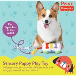 FISHER PRICE Sound-Bites Plush Dog Toy, Multicolor -Pet Dog Toys 908022 PT4. AC SS1800 V1699022166