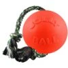 Jolly Pets Romp-n-Roll Dog Toy, Orange -Pet Dog Toys 91091 MAIN. AC SS1800 V1629241649