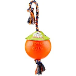 Jolly Pets Romp-n-Roll Dog Toy, Orange -Pet Dog Toys 91091 PT8. AC SS1800 V1545176727