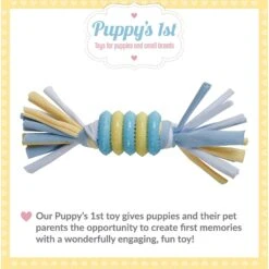 Snuggle Puppy Rings With Rope Puppy Chew Toy, Small 10 Snuggle Puppy Rings With Rope Puppy Chew Toy, Small -Pet Dog Toys 913110 PT2. AC SS1800 V1689702982