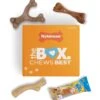 Nylabone The Box Chew Toy & Treat Gift Box -Pet Dog Toys 915502 MAIN. AC SS1800 V1700169568