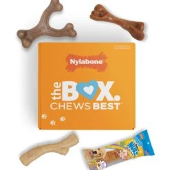 Nylabone The Box Chew Toy & Treat Gift Box